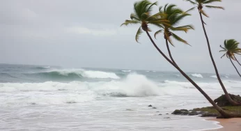 Wind Advisory in Effect for Coastal Jasper and Charleston County