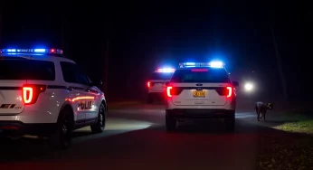 Escapee Emanuel Planco Arrested After Vehicle Break-Ins in Columbia
