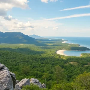 Beautiful South Carolina Landscapes