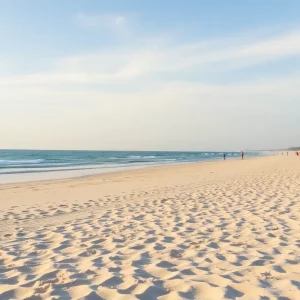 Beachwalker Park beach with soft sand and gentle waves