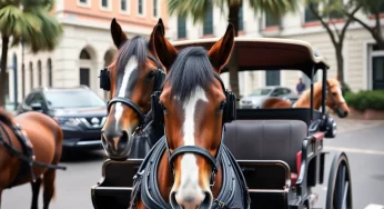 SC Court Upholds Ruling in Charleston Carriage Works Case