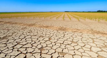 Moderate Drought Conditions Affect Five South Carolina Counties