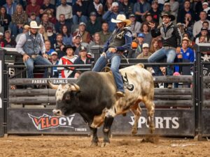Bull riders competing at the PBR Velocity Tour in Charleston, West Virginia
