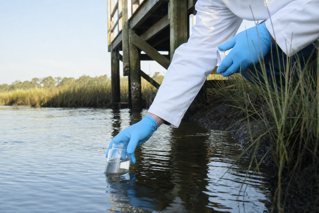 Scientist collecting a water sample from a Charleston area marsh creek