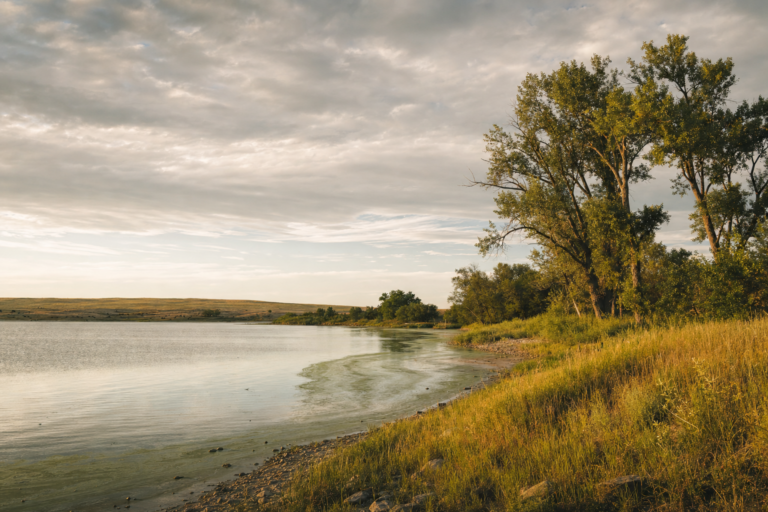 Kansas Updates Blue-Green Algae Warnings for Lakes