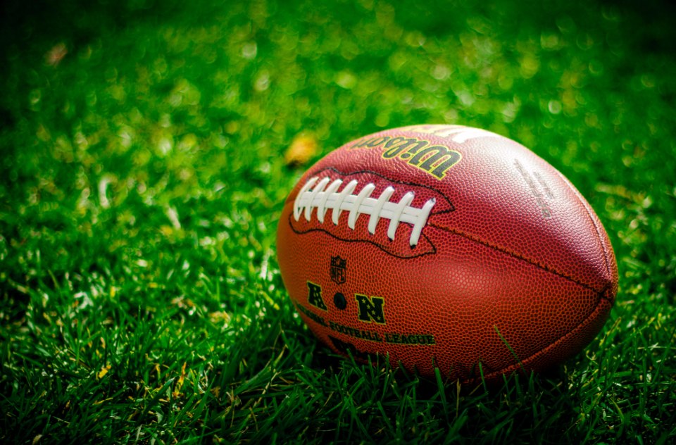Football resting on the turf