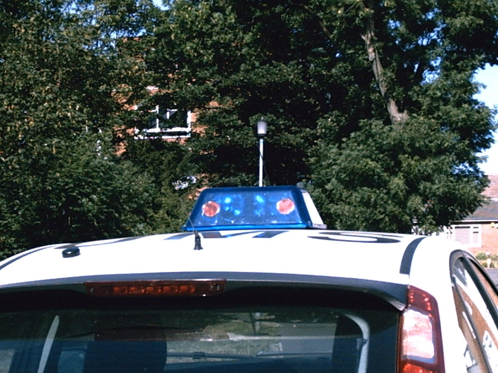Mount Pleasant Police Arrest Man After Bat Domestic Assault