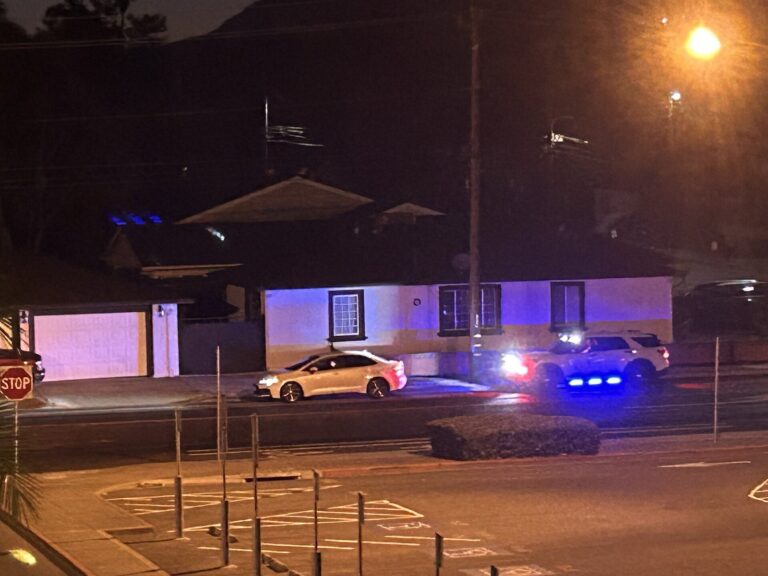 Pedestrian Killed Crossing Savannah Highway in Charleston