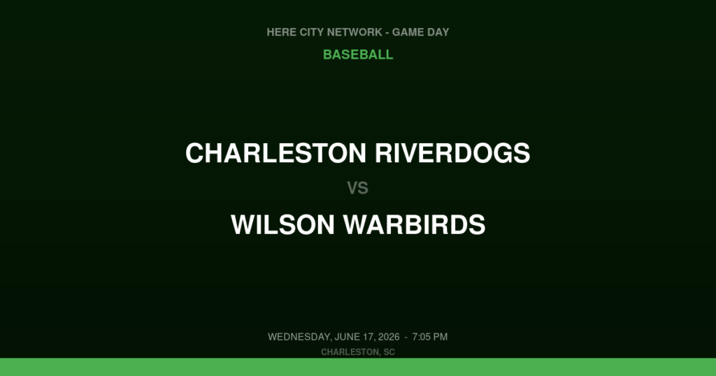 Charleston RiverDogs vs. Wilson Warbirds — Baseball Game Day — Charleston, SC — Jun 17, 2026
